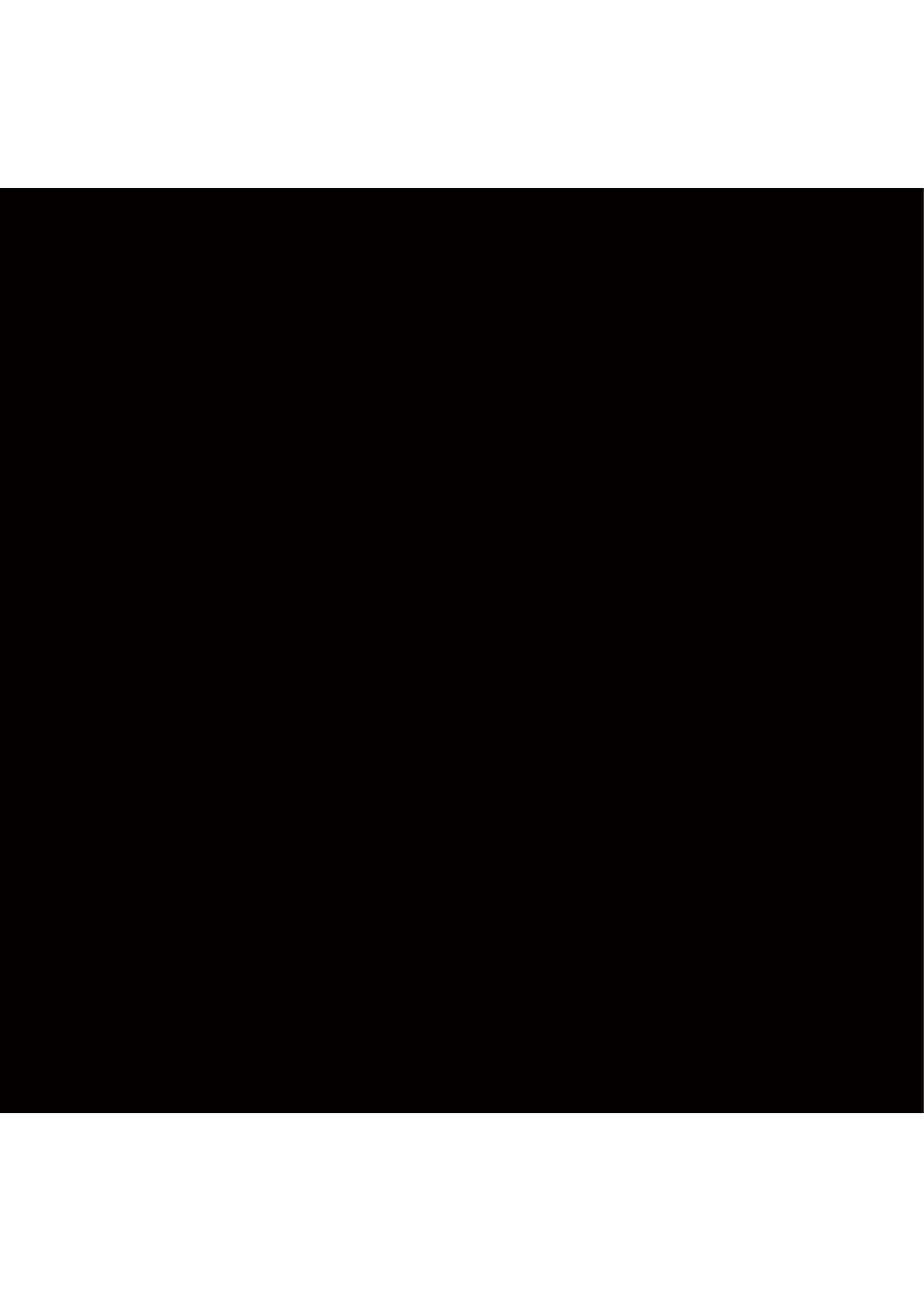 Absolute Black