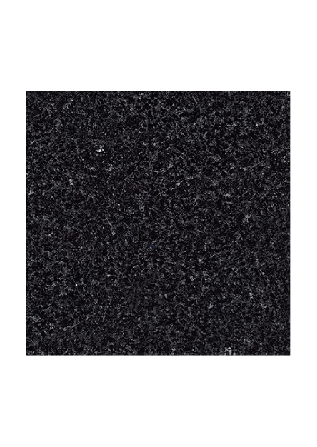 Black Pearl Lambrador