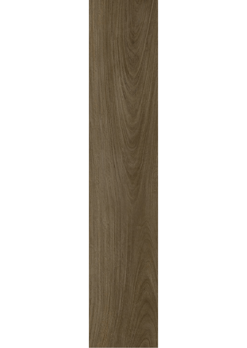 Brown Alderwood