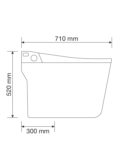 IC-E 2968