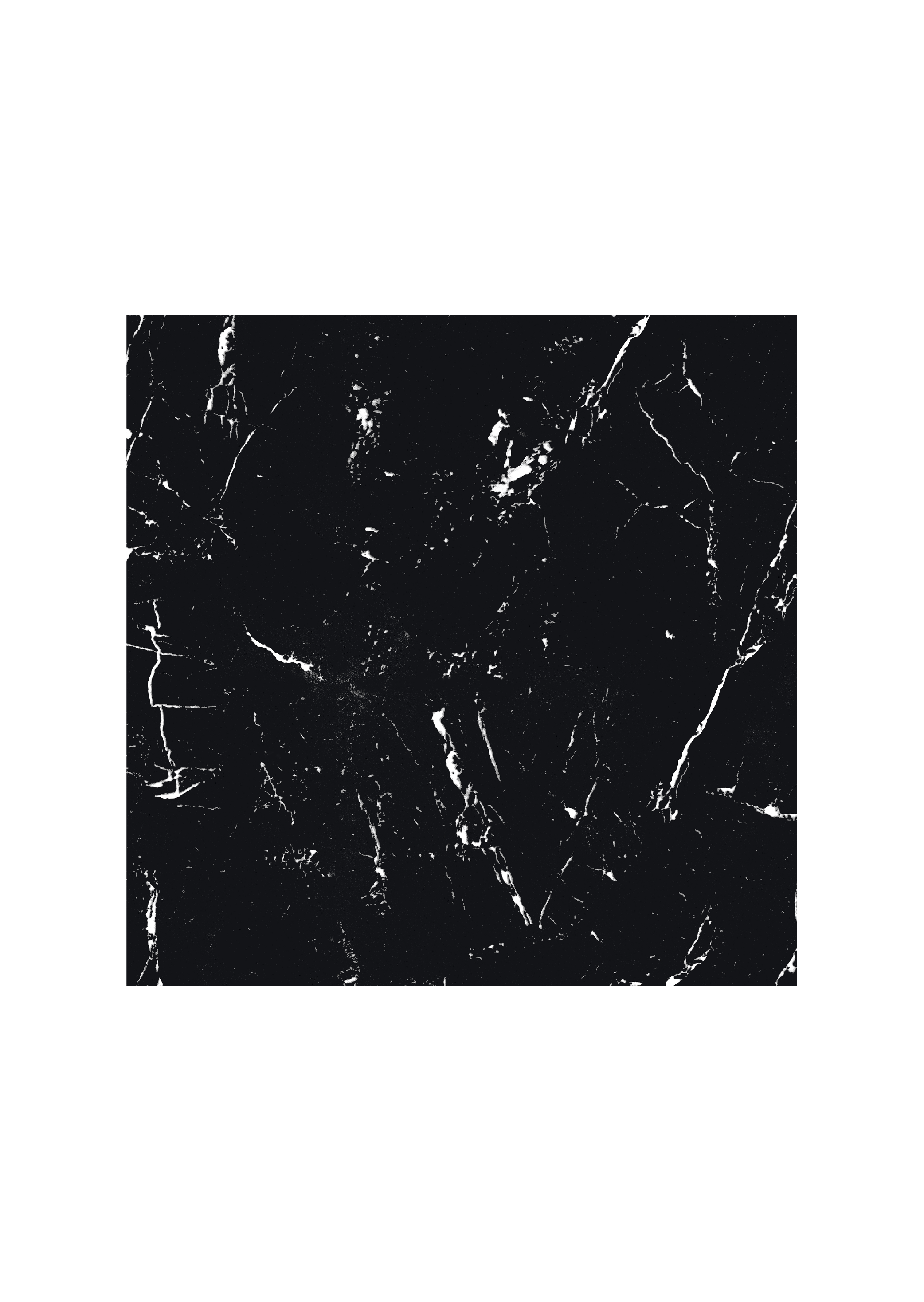 Dthunder Black